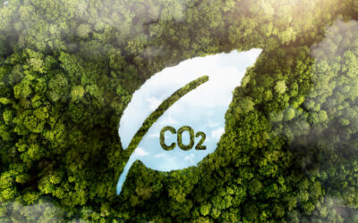 Évolution de la TGAP : une fiscalité environnementale en mutation