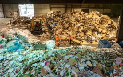 Déchets industriels banals (DIB) : que sont-ils et comment les valoriser ?