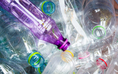 Le vrai/faux du tri des plastiques