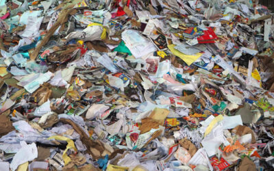 Déchets industriels banals (DIB) : que sont-ils et comment les valoriser ?