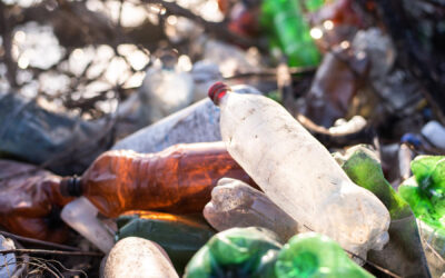 Lutte contre la pollution plastique : bientôt une loi pour généraliser le réemploi des emballages ?