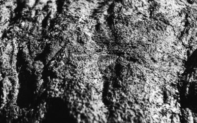 Métaux spéciaux : le tungstène