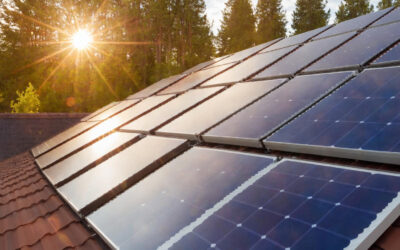Recyclage des panneaux solaires : enjeux et filières en place